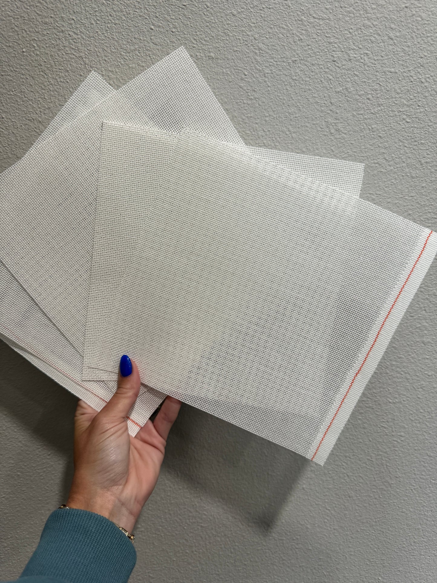 Blank 18 Mesh 8x8 Zweigart Canvas